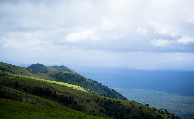 勒沃库森总监：裁判必须保护球员，许多人对维尔茨的动作很凶狠.