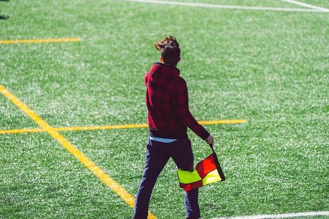 效和富有竞 效和富有竞