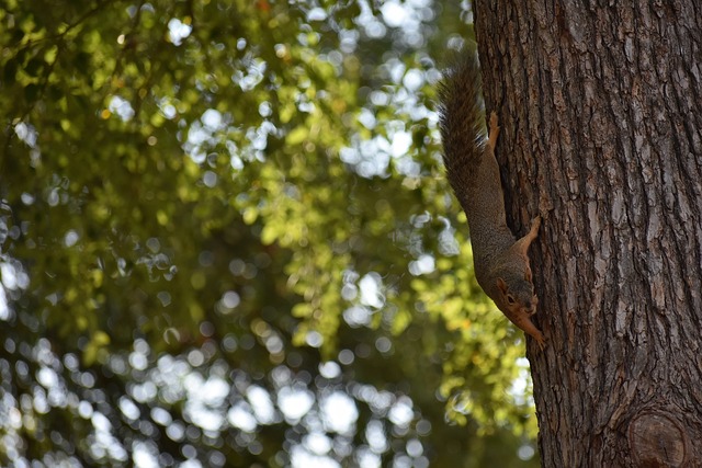 这位来自尼 这位来自尼