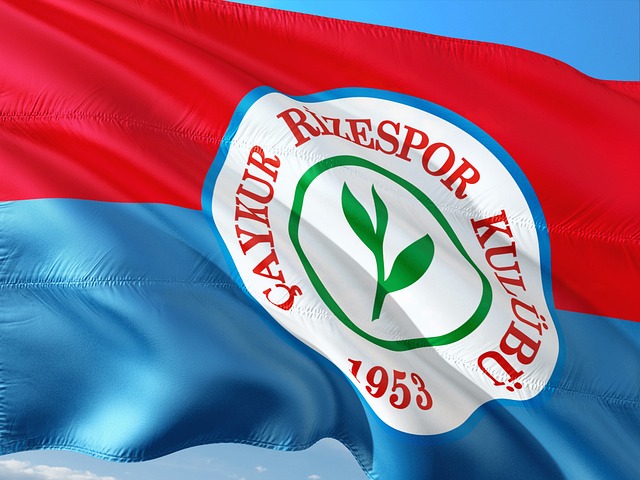 表现可谓是 表现可谓是