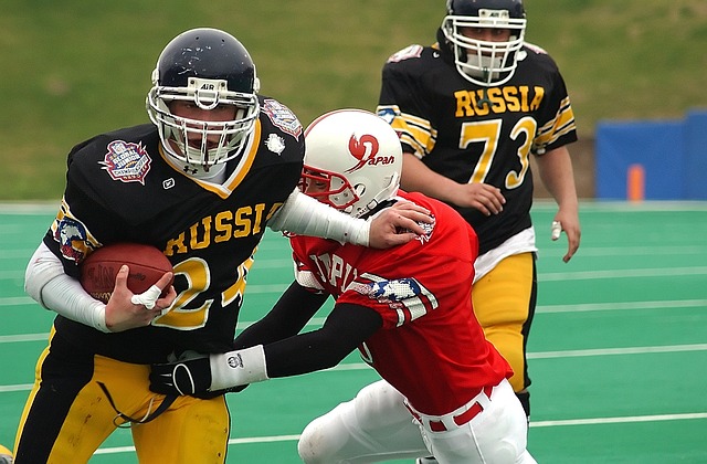 将在未来的 将在未来的