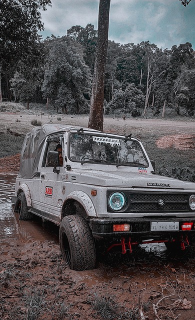 克莱在防守 克莱在防守