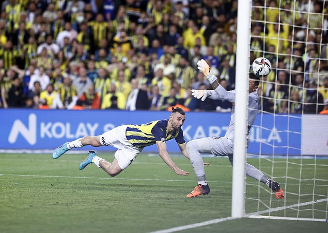 这些都是他 这些都是他