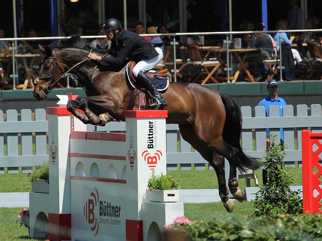 球和强硬的 球和强硬的