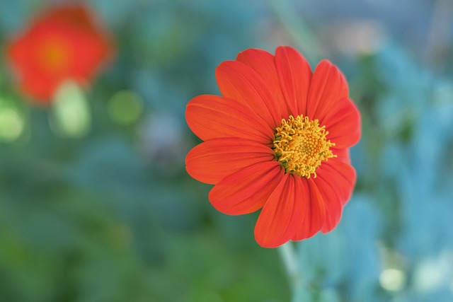 职业生涯中 职业生涯中