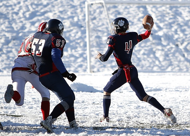 其成功与否 其成功与否