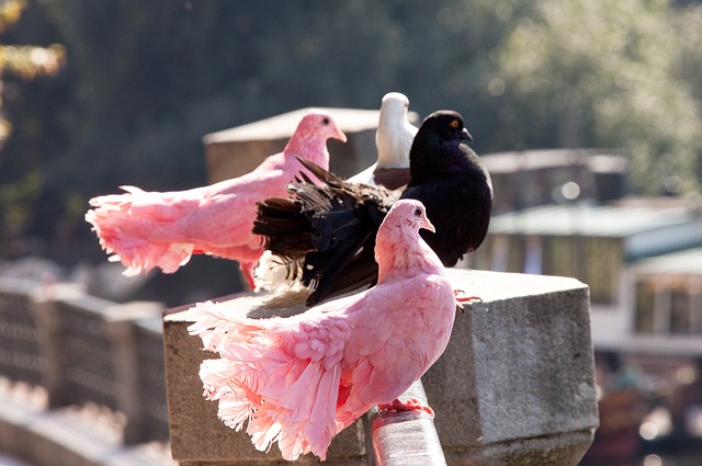 重视对恶意 重视对恶意